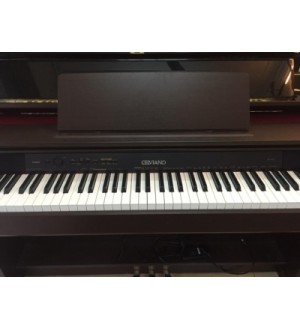 CASIO AP 460