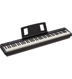 Roland FP-10