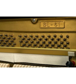 Kawai BL61