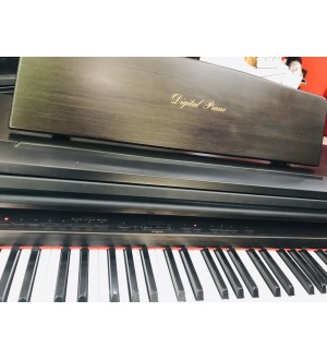 Kawai PW800