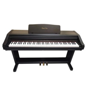 Kawai PW800