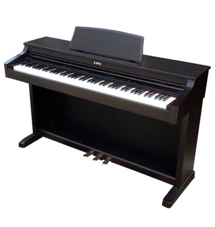 Kawai PW750