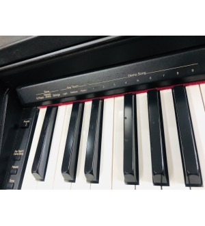 Roland HP-145