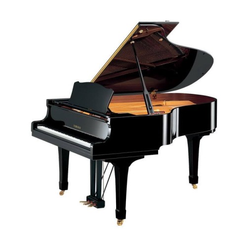Yamaha G2