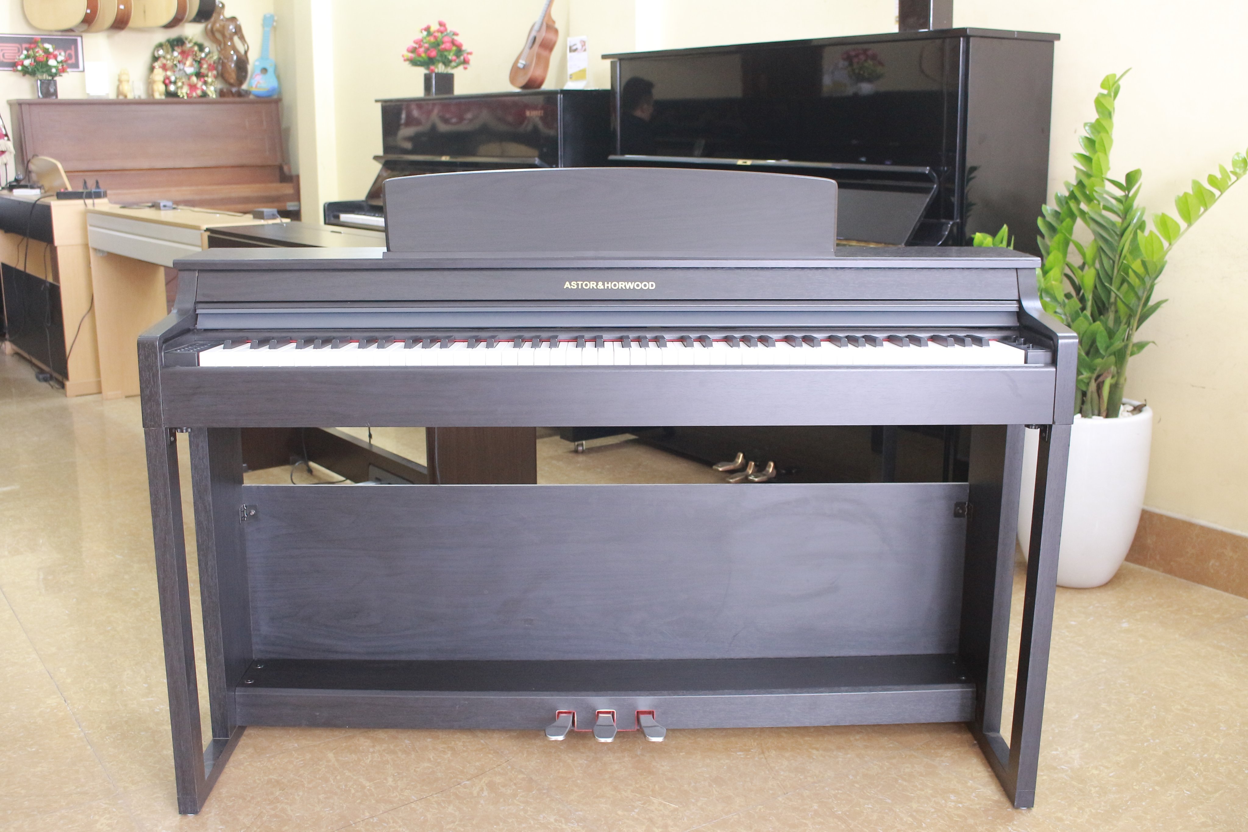 sự khác nhau của đàn piano điện và đàn organ